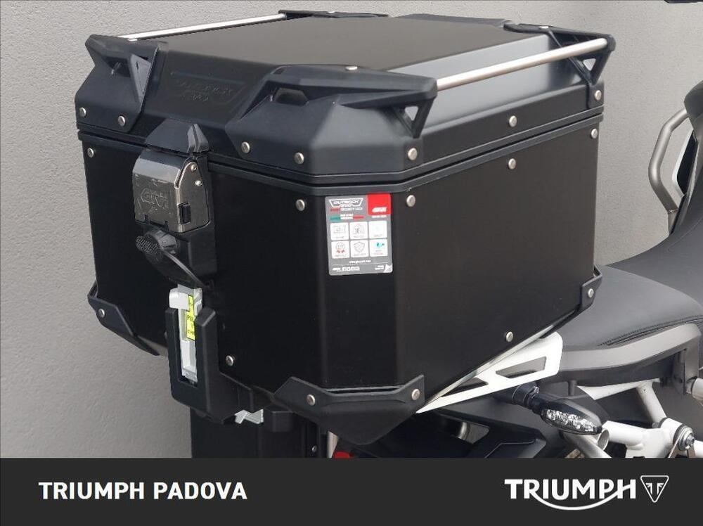 Triumph Tiger 900 Rally Pro (2020 - 23) (3)