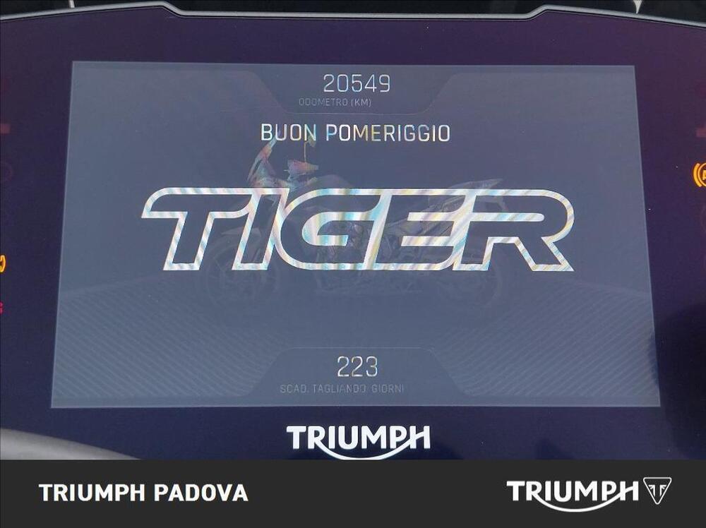 Triumph Tiger 900 Rally Pro (2020 - 23) (15)