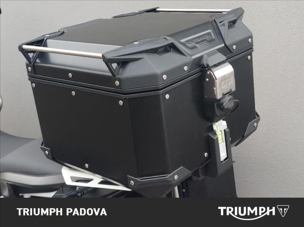 Triumph Tiger 900 Rally Pro (2020 - 23) (9)