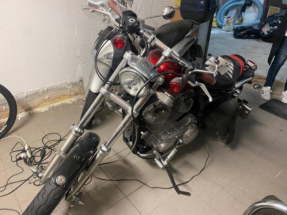 Harley-Davidson 883 Custom (2006 - 07) - XL 883C (2)