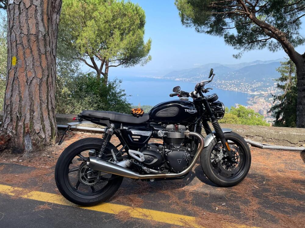 Triumph Speed Twin 1200 (2019 - 20) (3)