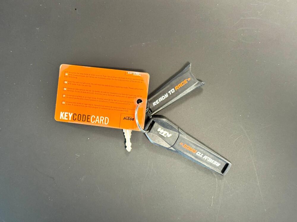 KTM 790 Adventure R (2019 - 20) (19)