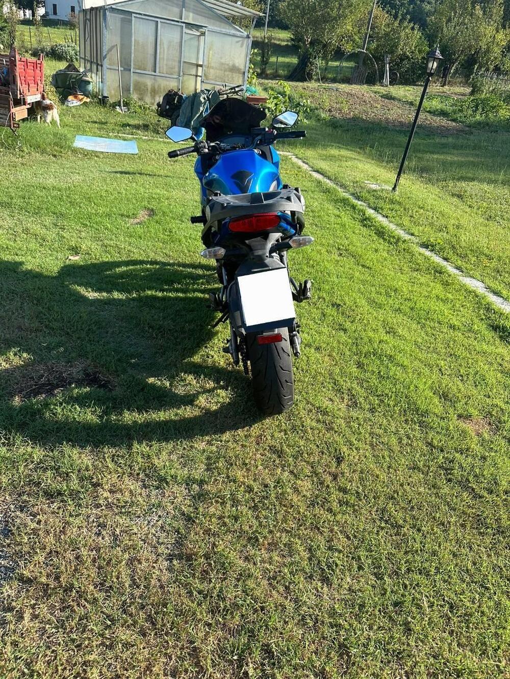 Kawasaki ER-6F (2009 - 11) (2)