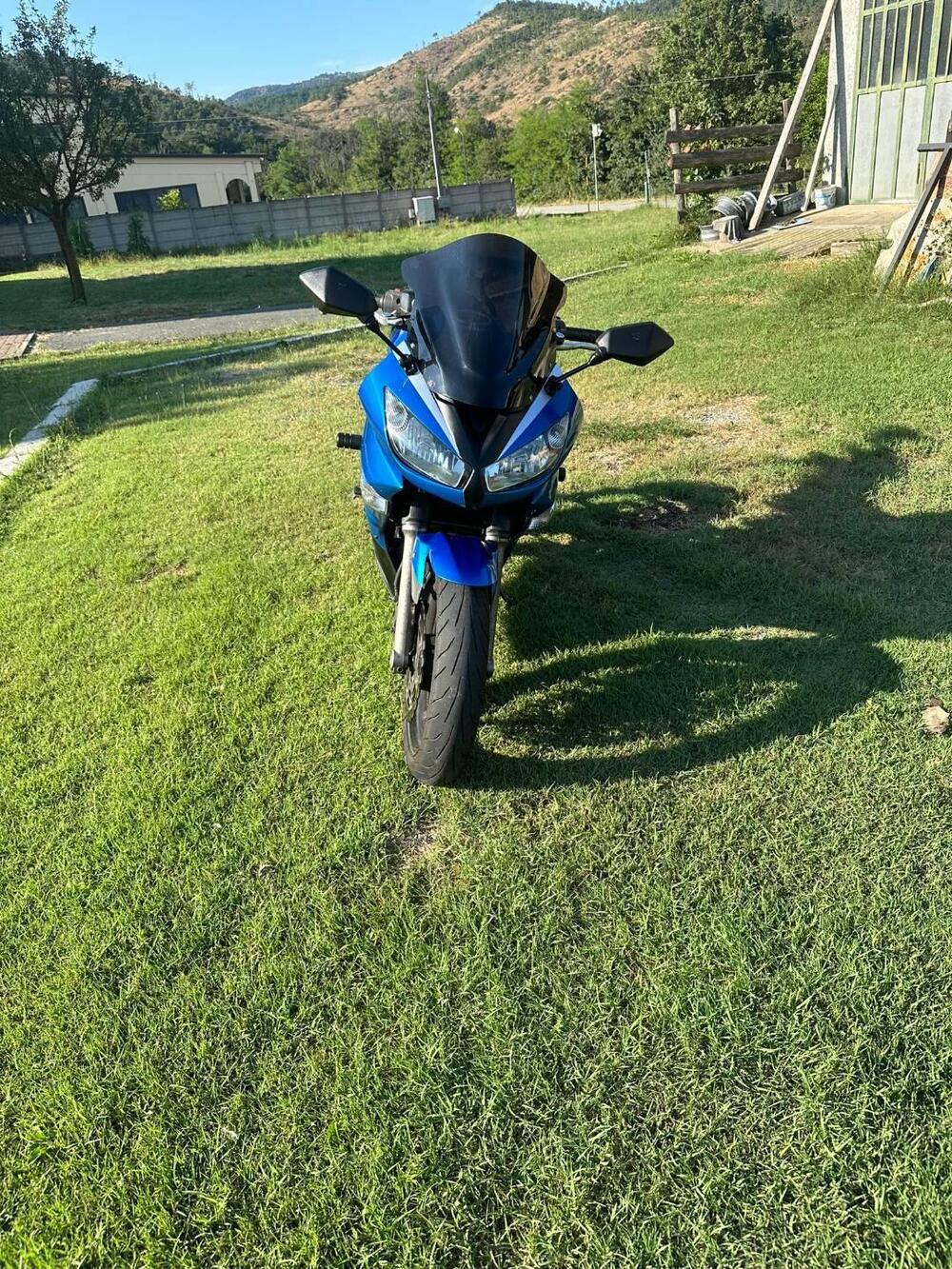 Kawasaki ER-6F (2009 - 11) (4)