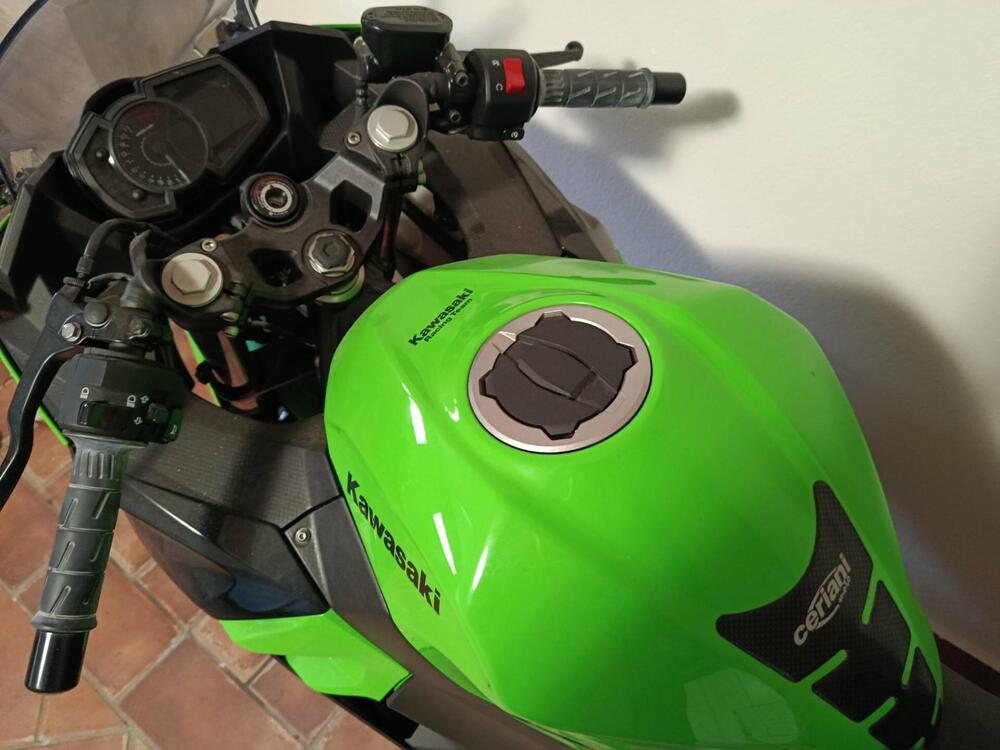 Kawasaki Ninja 400 (2018 - 20) (2)