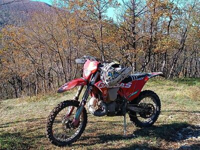 GASGAS EC 300 Tpi (2023) usata