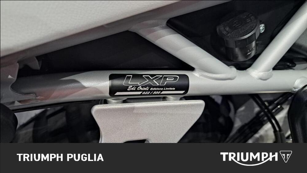 MV Agusta LXP Orioli (2024 - 26) (5)