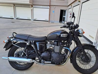 Triumph Bonneville T100 (2008 - 16) usata