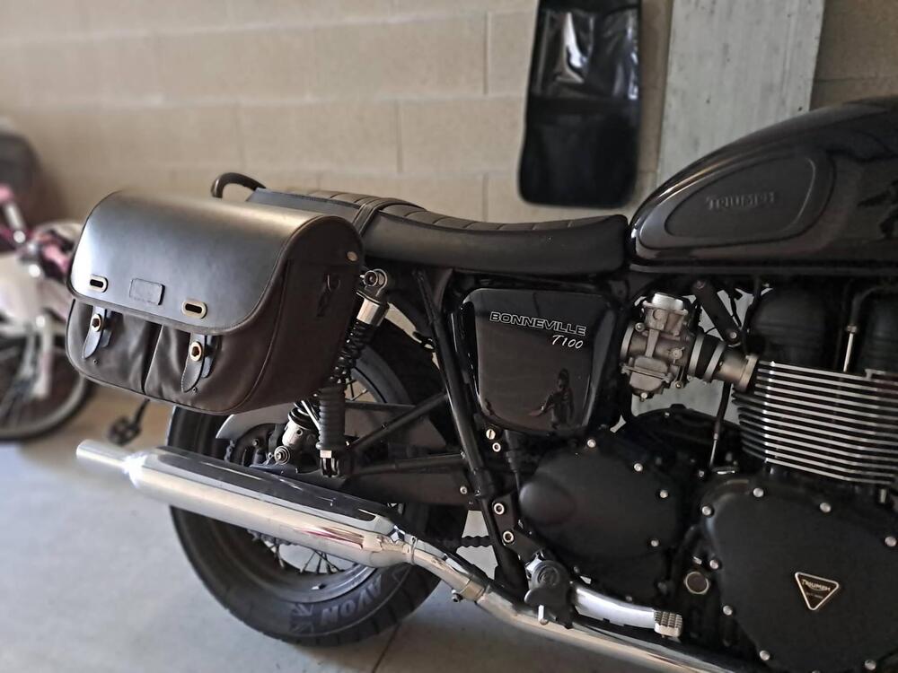 Triumph Bonneville T100 (2008 - 16) (3)