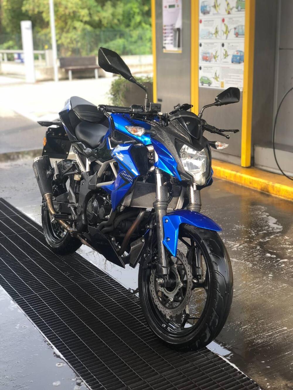 Kawasaki Z 125 (2019 - 20)