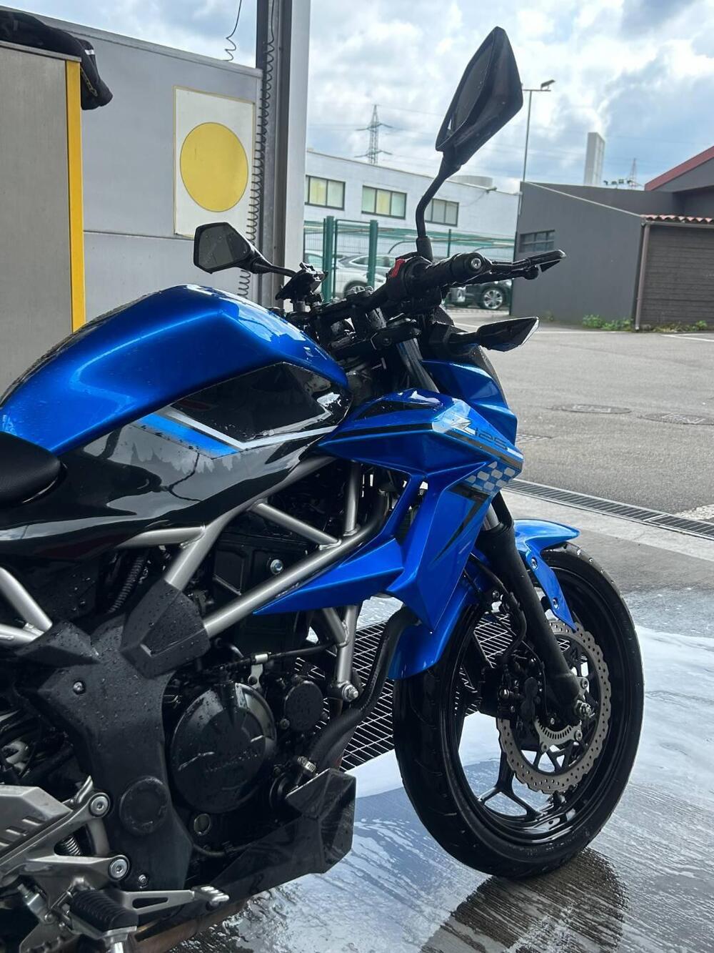 Kawasaki Z 125 (2019 - 20) (6)