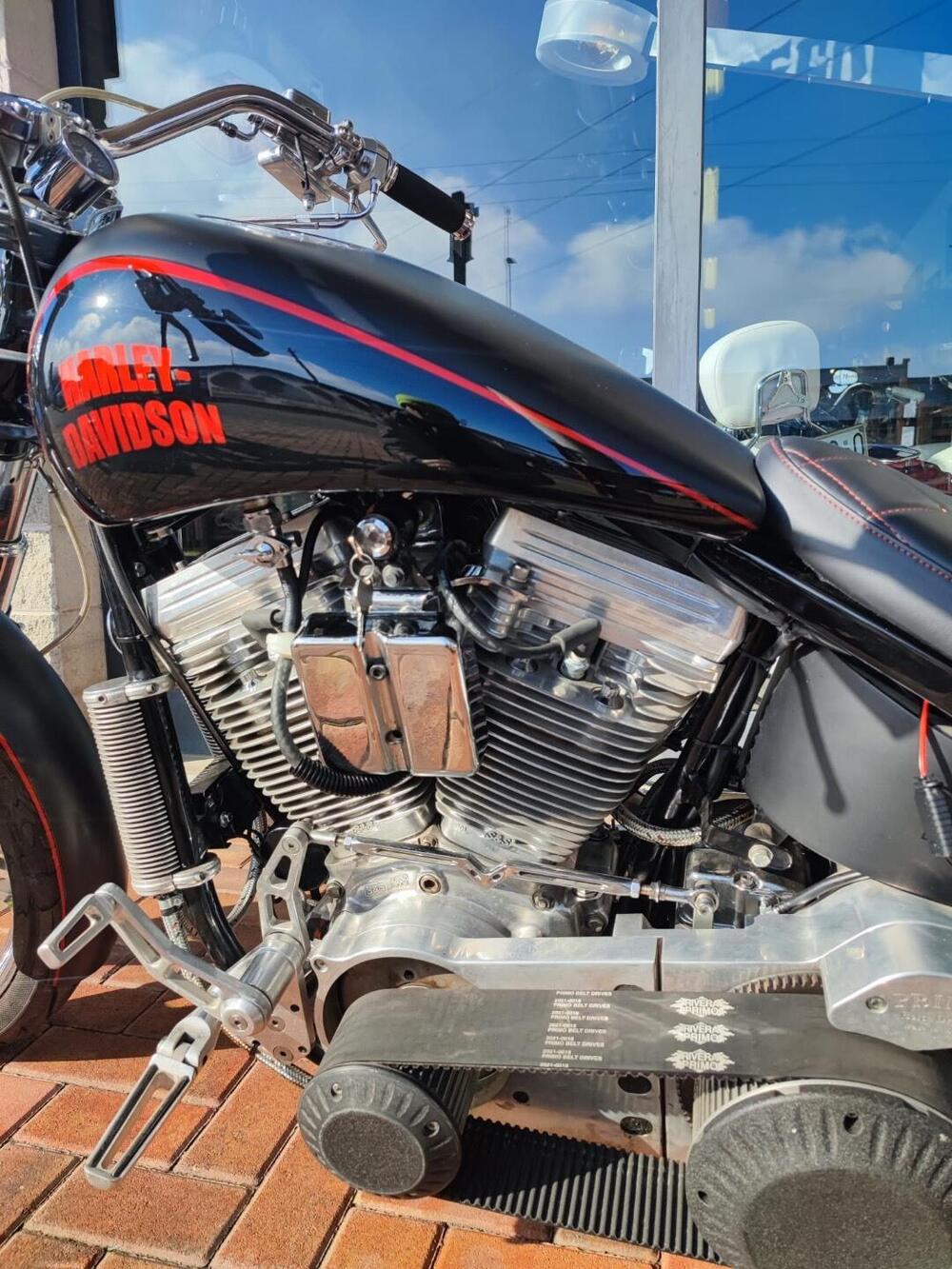 Harley-Davidson 1450 Springer (2001 - 03) - FXSTS (14)