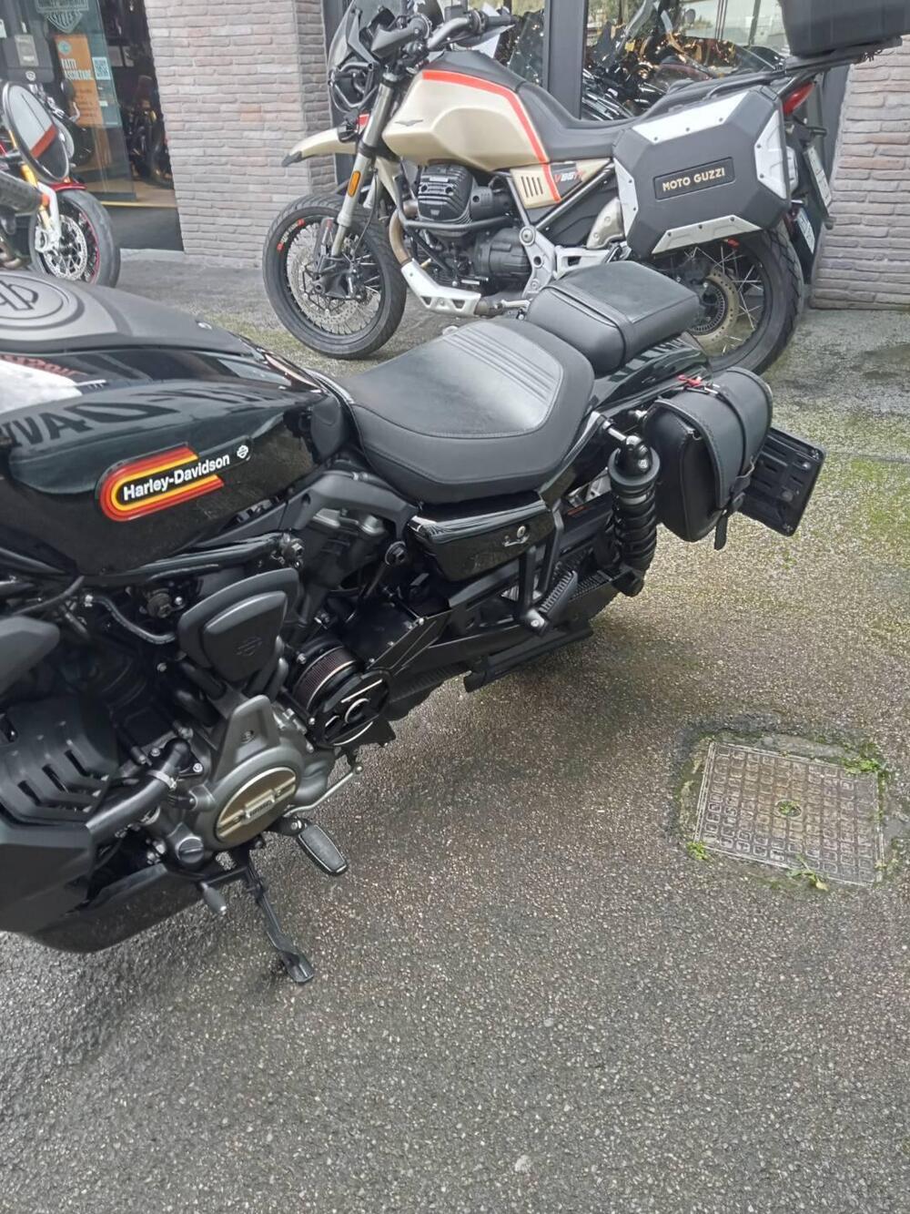 Harley-Davidson Nightster Special (2023 - 26) (4)