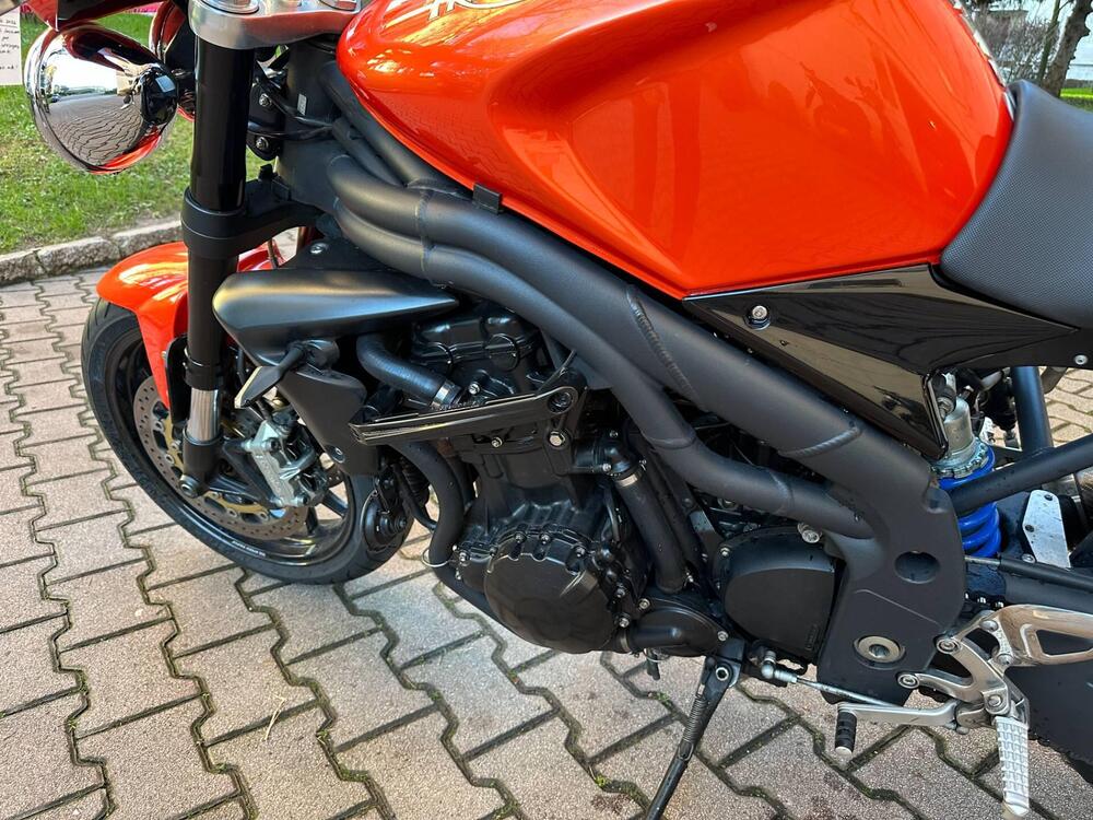 Triumph Speed Triple 1050 (2005 - 11) (6)