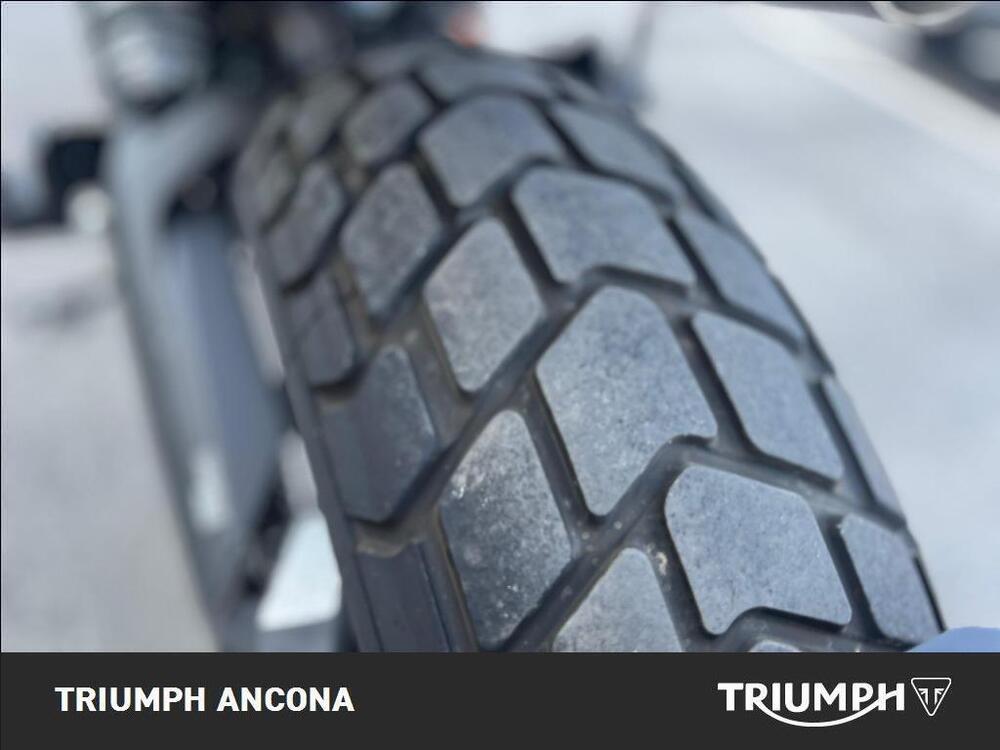 Ducati Scrambler 800 Urban Enduro (2015 - 16) (6)