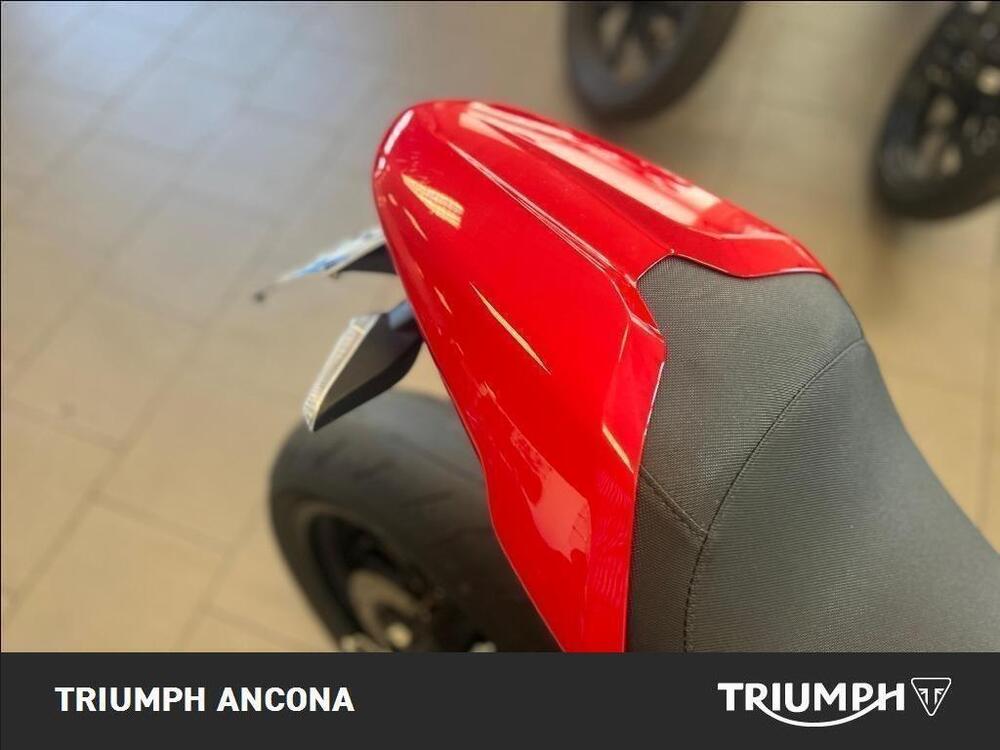 Ducati Monster 797 (2017 - 18) (4)