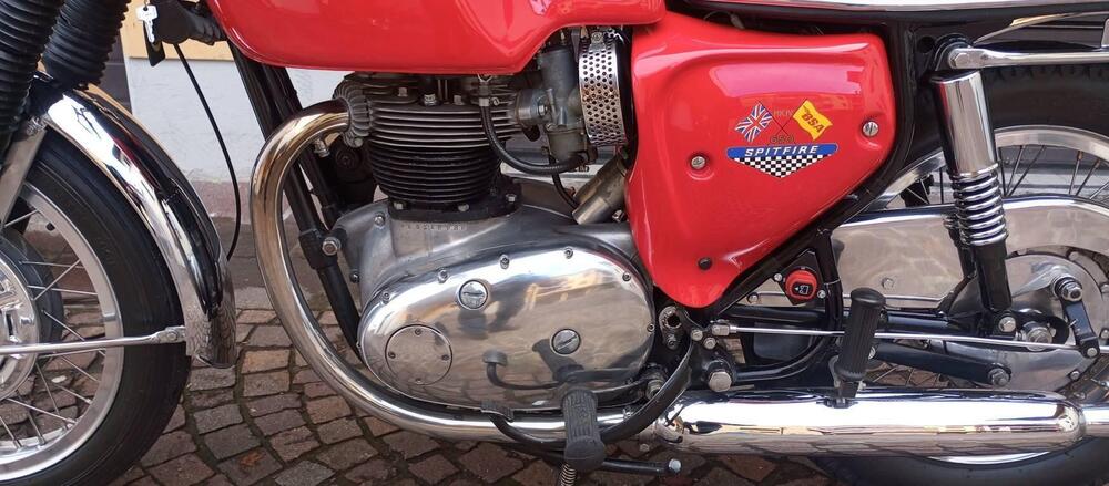 Bsa A65 SPITFIRE MK4 (5)