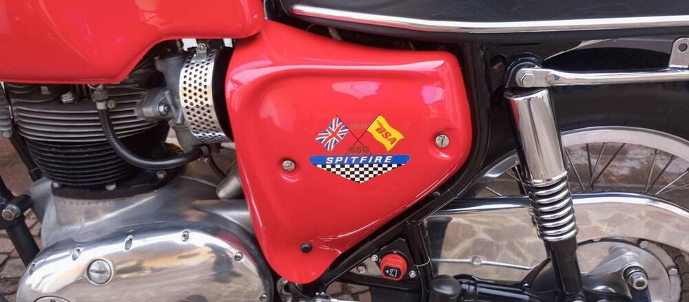 Bsa A65 SPITFIRE MK4 (7)