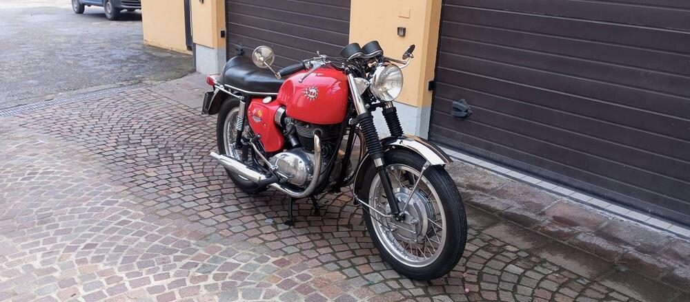 Bsa A65 SPITFIRE MK4 (20)