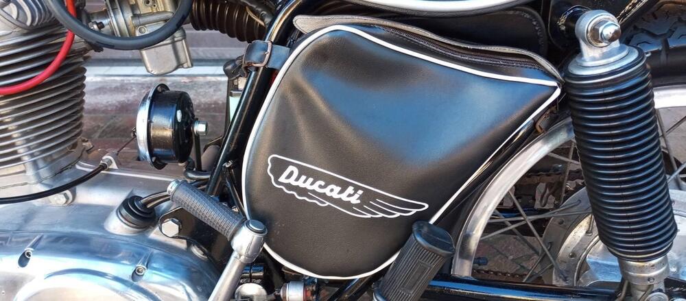 Ducati SCRAMBLER 350 (6)