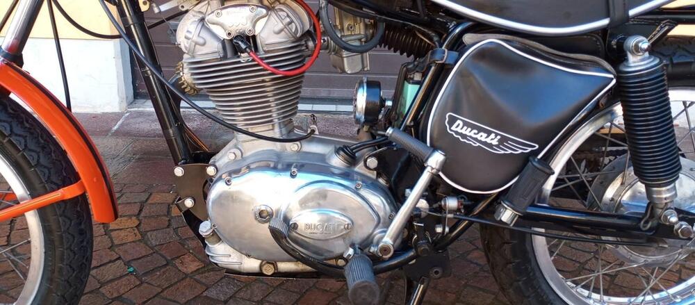 Ducati SCRAMBLER 350 (15)