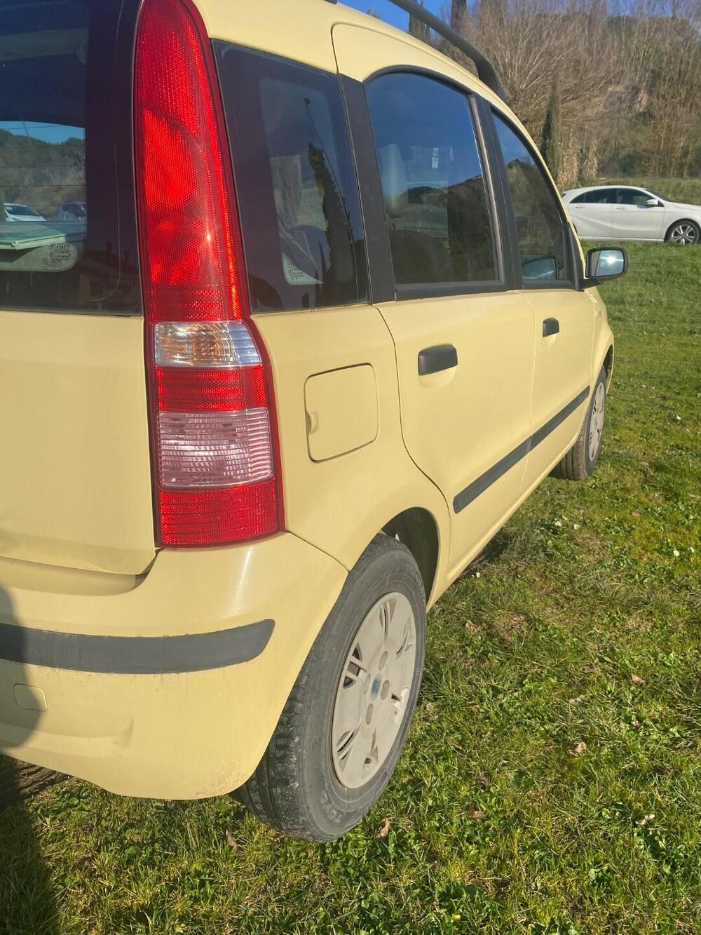 Fiat Panda usata a Firenze (15)