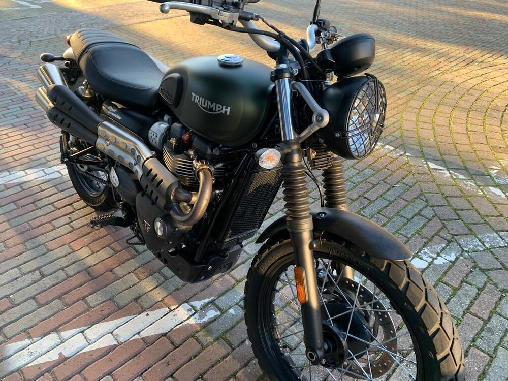 Triumph Street Scrambler 900 (2017 - 18) (5)
