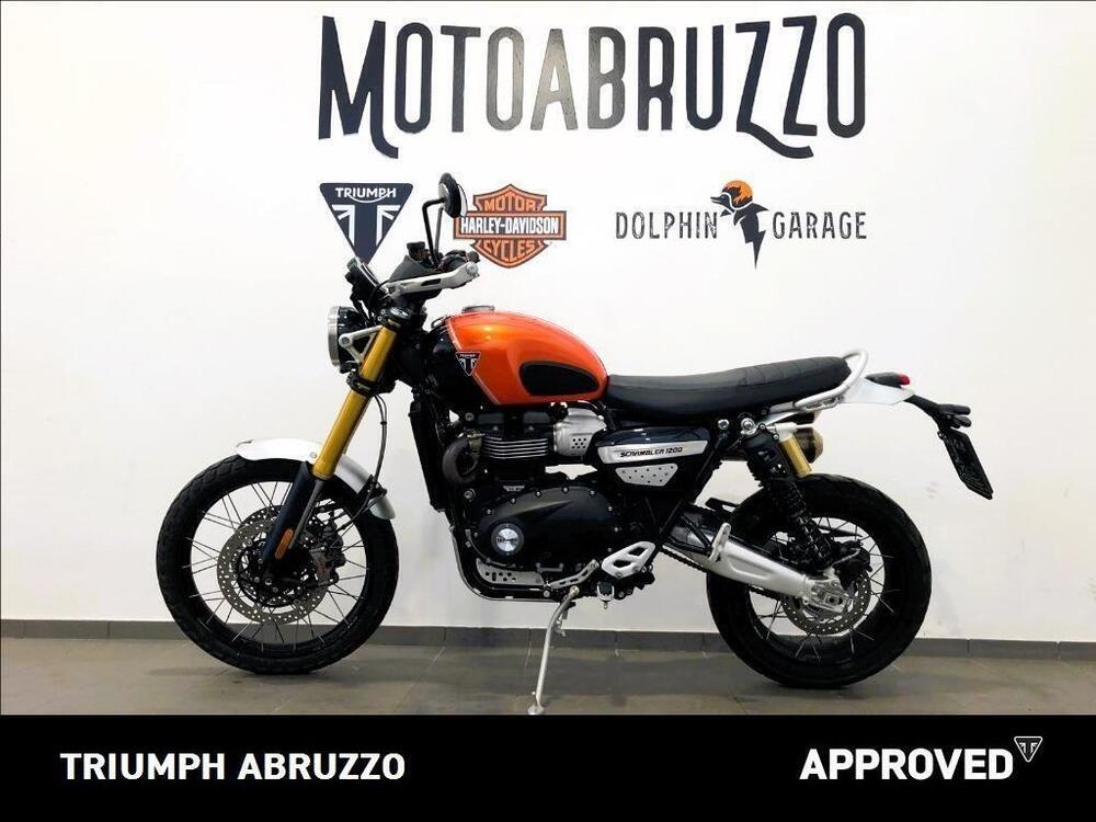Triumph Scrambler 1200 XE (2024 - 25) (5)
