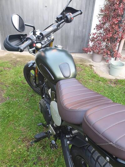 Triumph Scrambler 400 X (2024 - 26) usata
