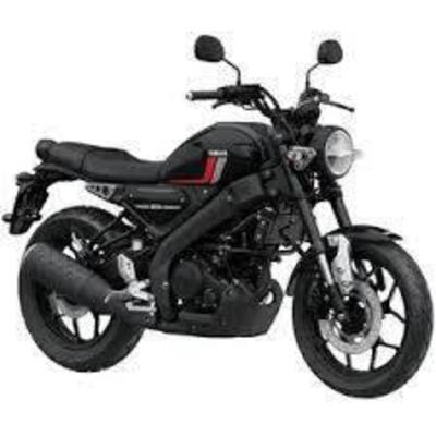Yamaha XSR 125 (2021 - 24) usata