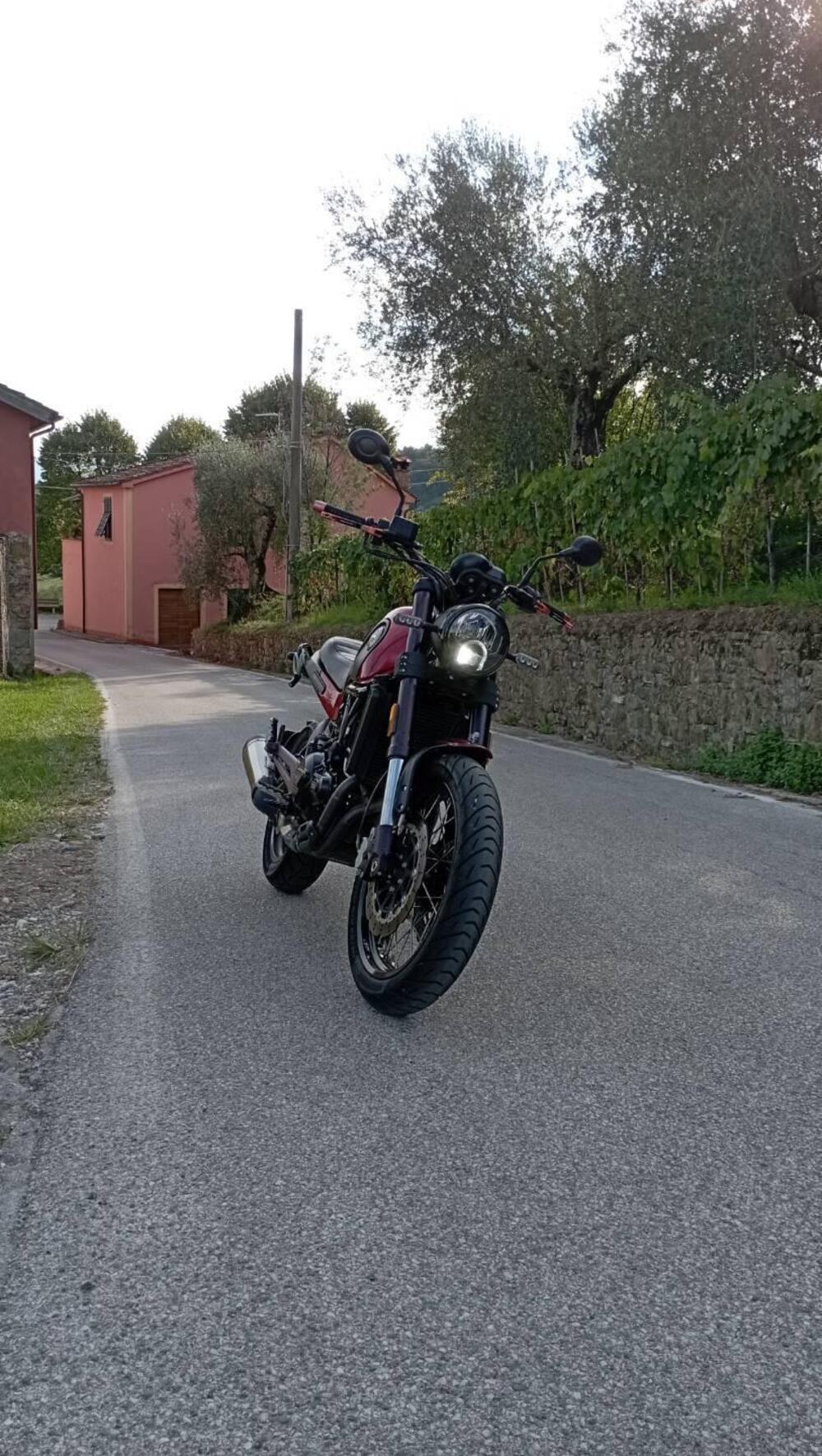 Benelli Leoncino 500 Trail ABS (2017 - 20) (5)