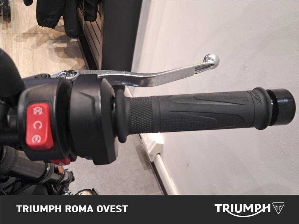 Triumph Trident 660 Triple Tribute Edition (2025 - 26) (13)