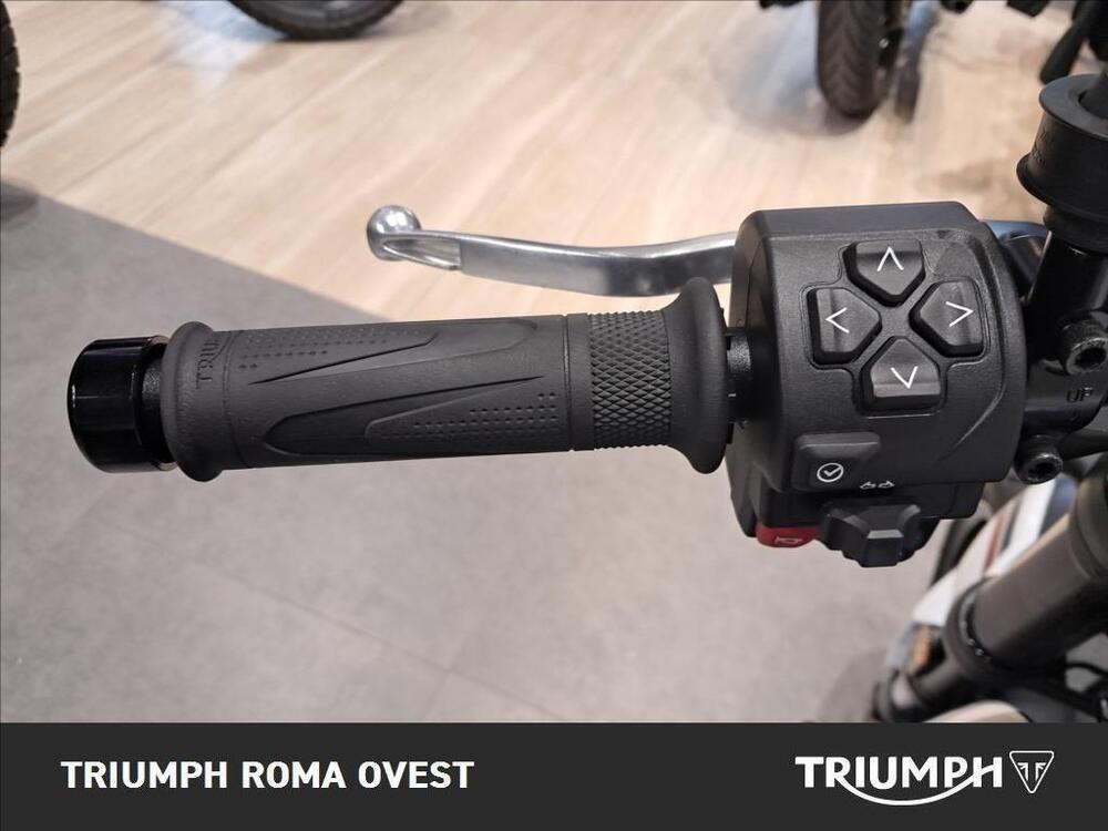 Triumph Trident 660 Triple Tribute Edition (2025 - 26) (12)