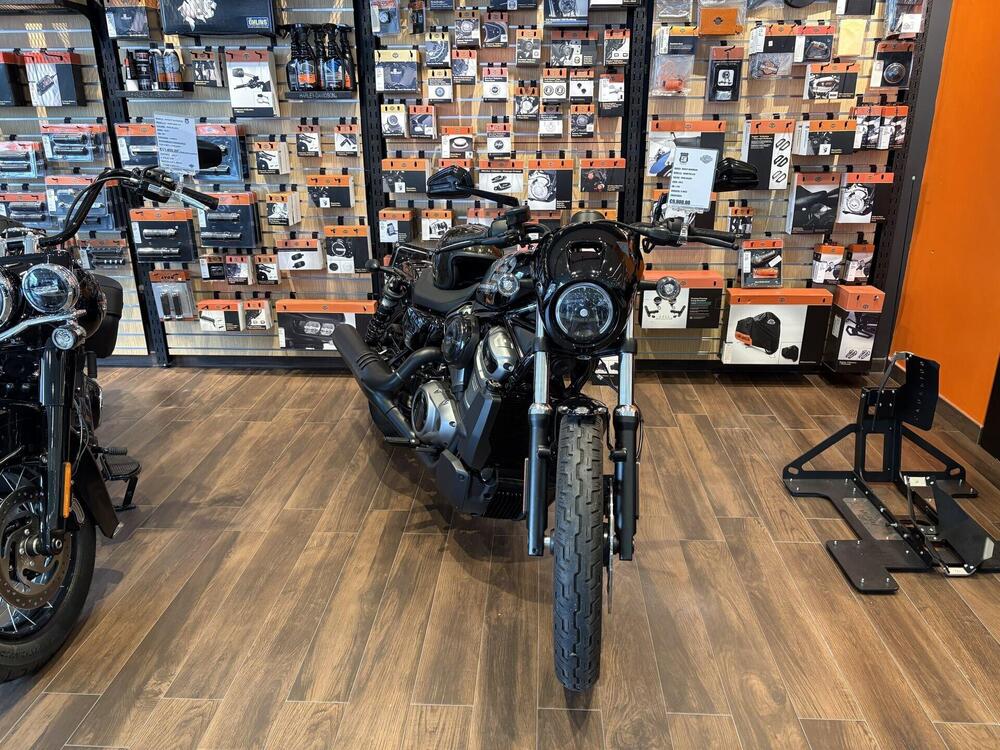 Harley-Davidson Nightster (2023 - 26)