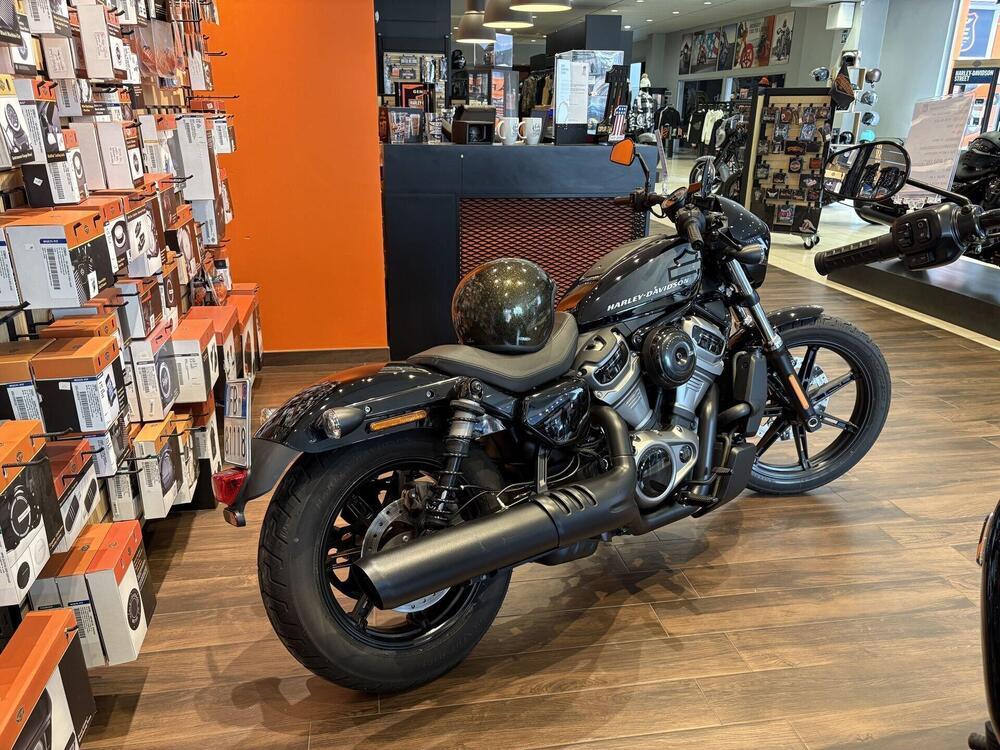 Harley-Davidson Nightster (2023 - 26) (4)