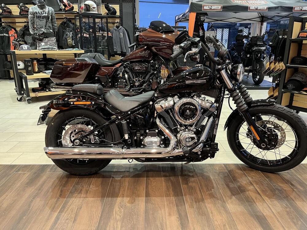 Harley-Davidson Street Bob 117 (2025 - 26)