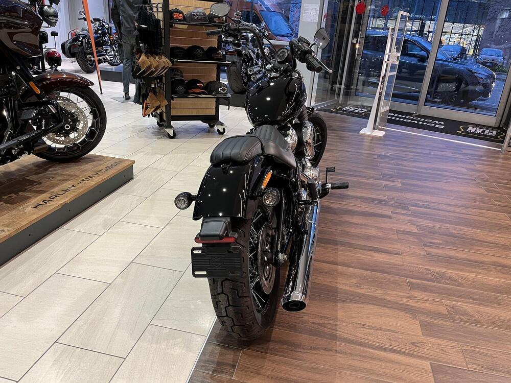 Harley-Davidson Street Bob 117 (2025 - 26) (4)