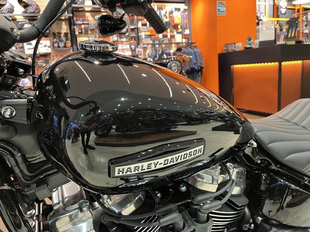 Harley-Davidson Street Bob 117 (2025 - 26) (9)