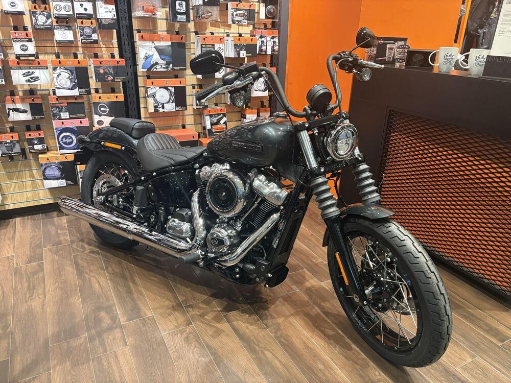 Harley-Davidson Street Bob 117 (2025 - 26)