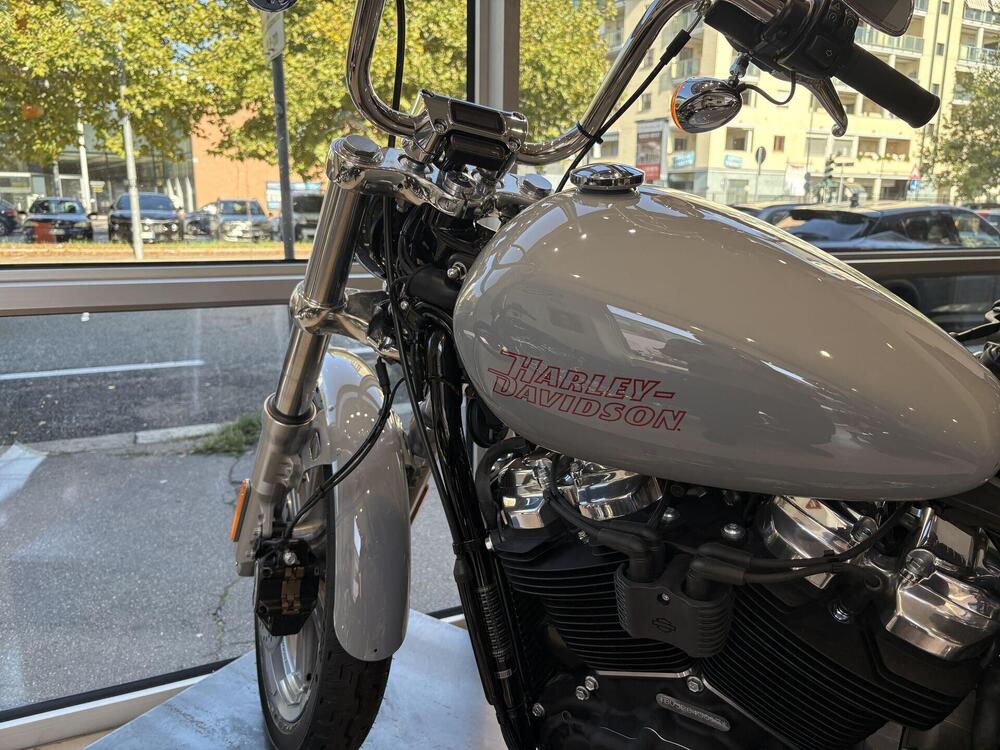 Harley-Davidson Softail Standard (2021 - 25) (4)