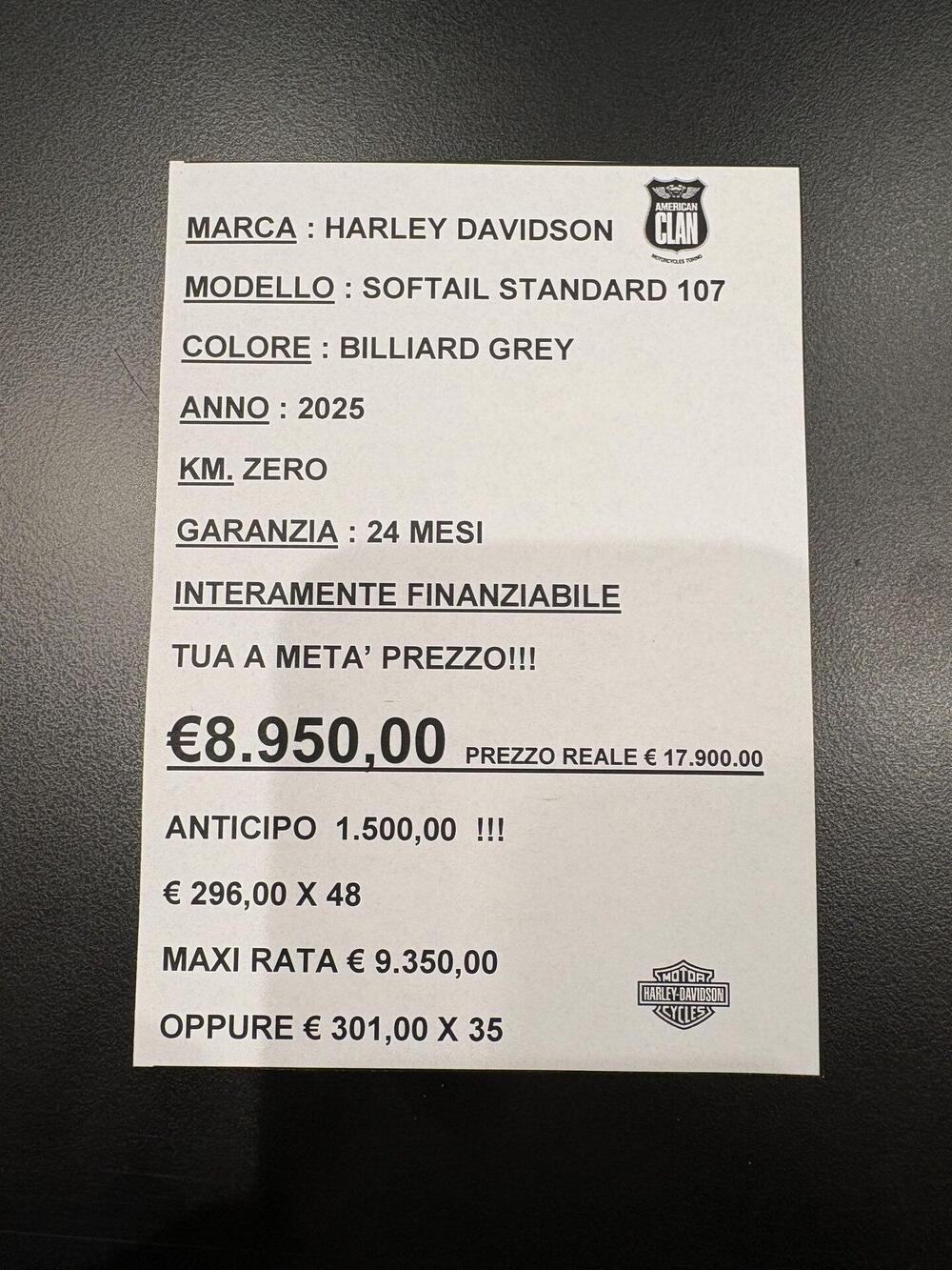 Harley-Davidson Softail Standard (2021 - 25) (5)