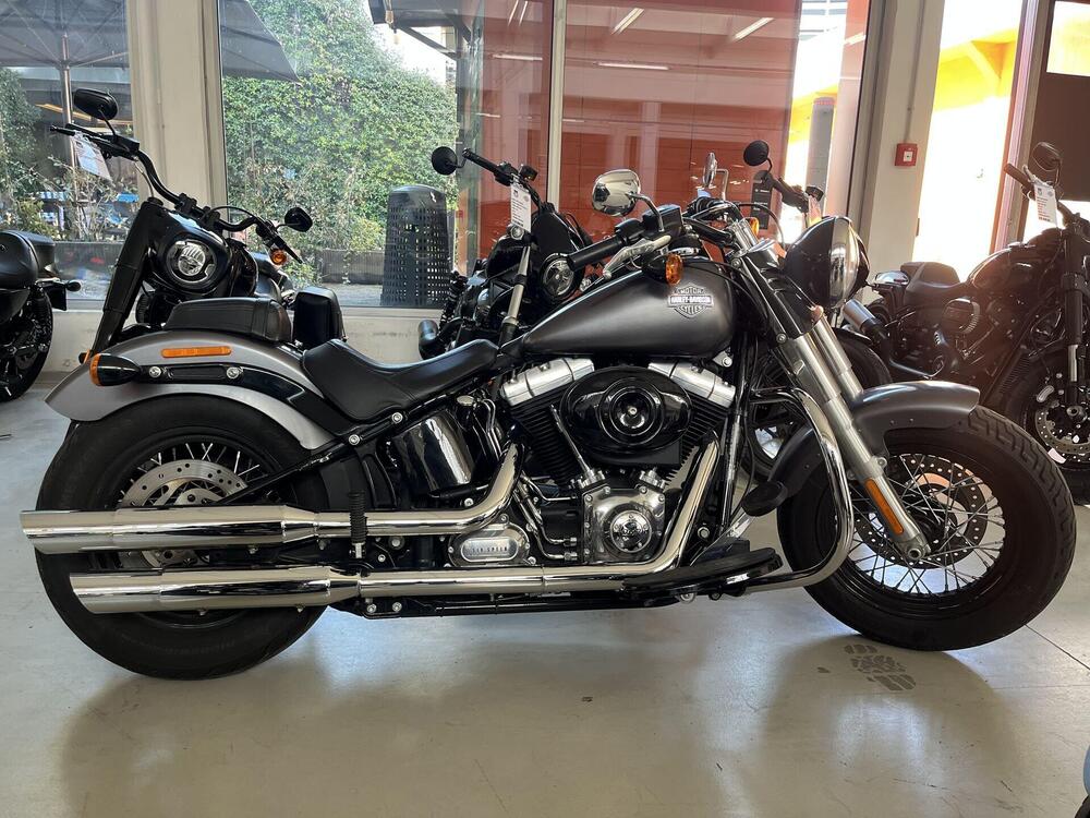 Harley-Davidson 1690 Slim (2011 - 16) - FLS