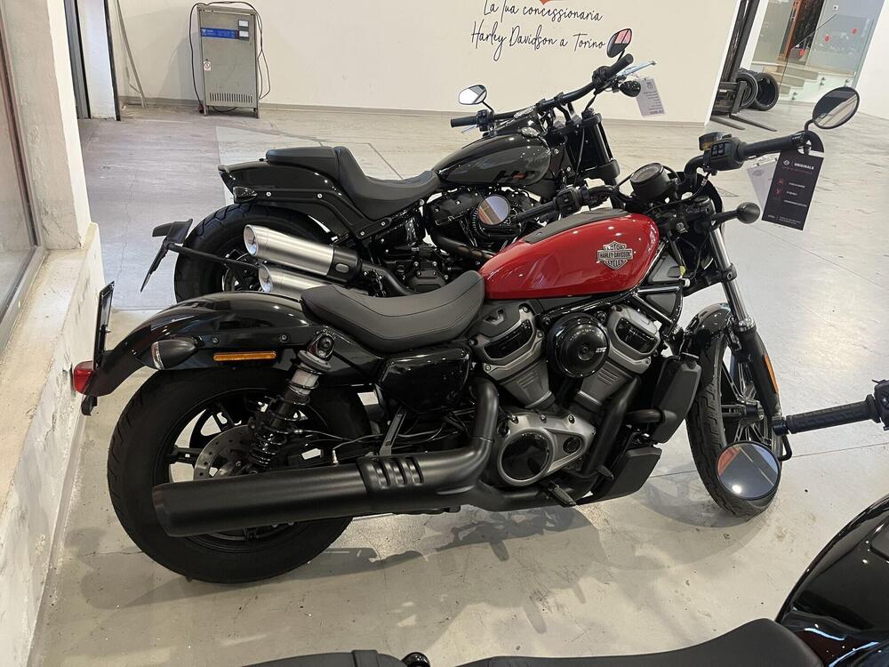 Harley-Davidson Nightster (2023 - 26) (4)