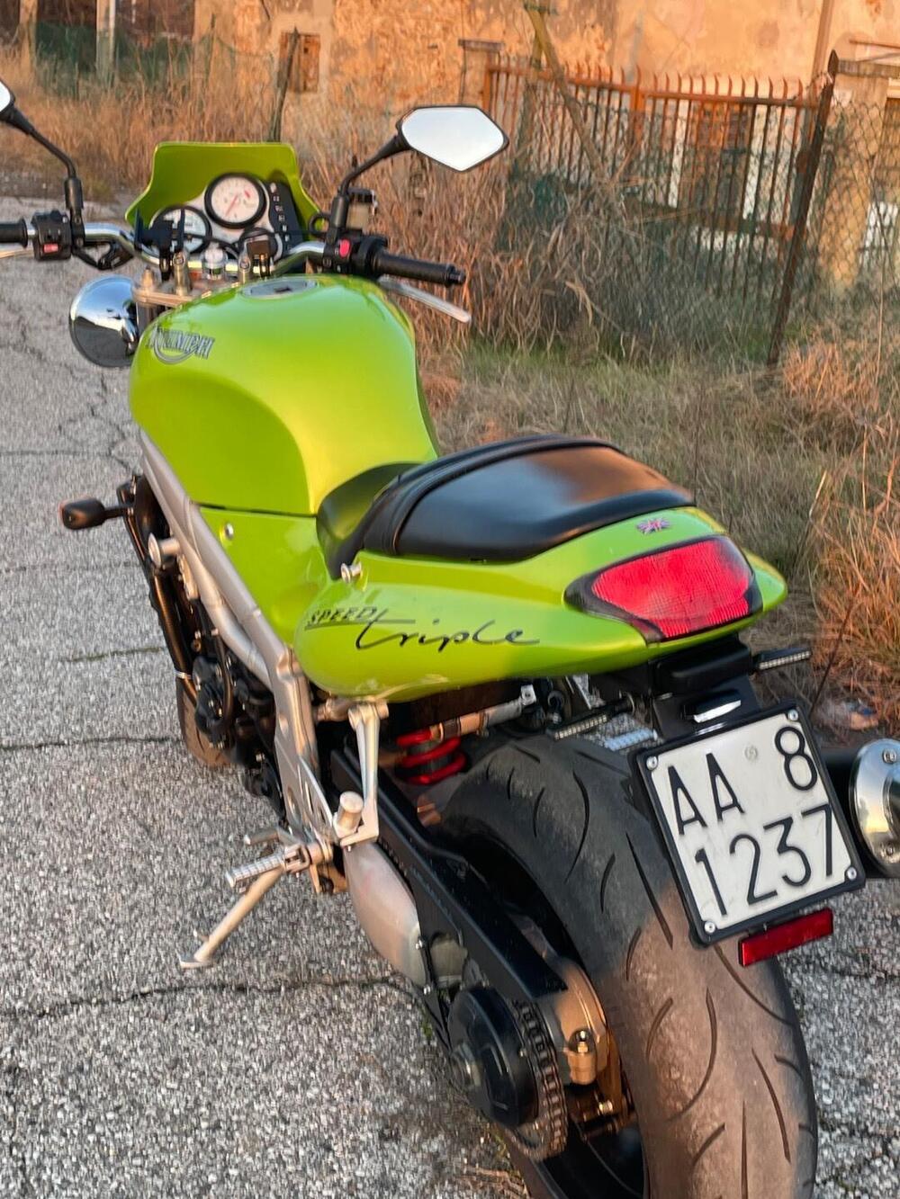 Triumph Speed Triple 955 (1998 - 01) (2)