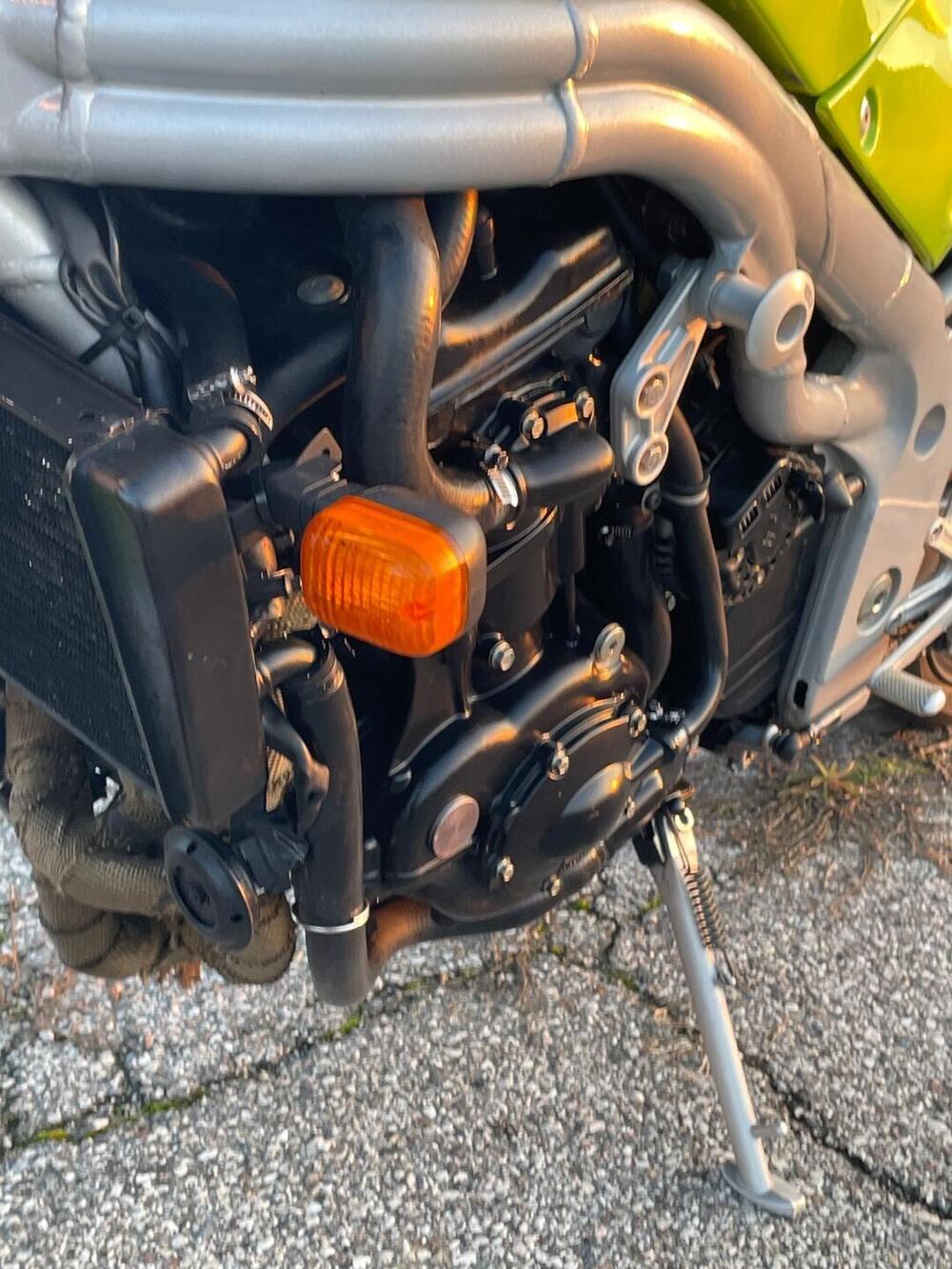 Triumph Speed Triple 955 (1998 - 01) (5)