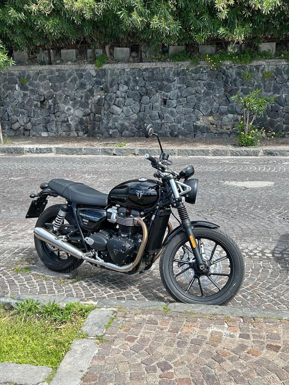 Triumph Speed Twin 900 (2023 - 24) (6)