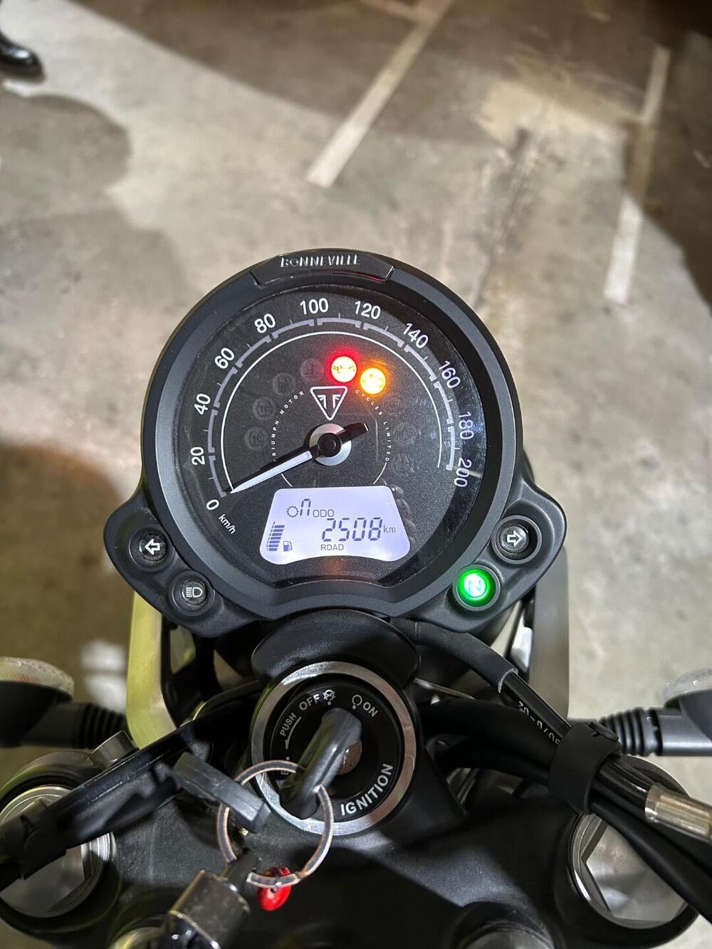 Triumph Speed Twin 900 (2023 - 24) (9)