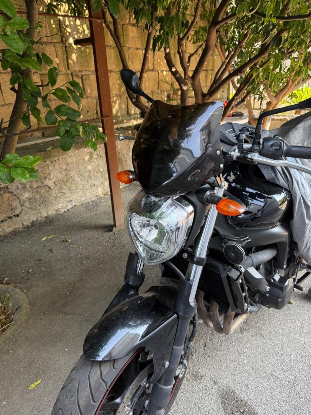 Yamaha FZ6 S2 (2007 - 11) (2)