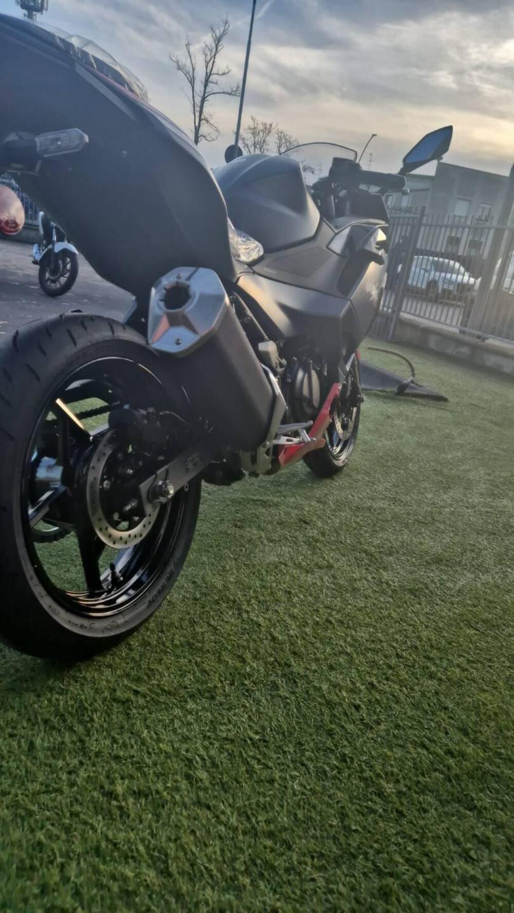 Kawasaki Ninja 500 SE (2024 - 26)