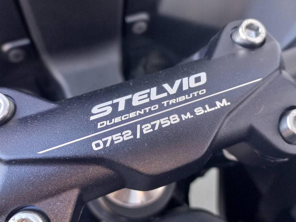 Moto Guzzi Stelvio Duecento Tributo (2025 - 26) (8)